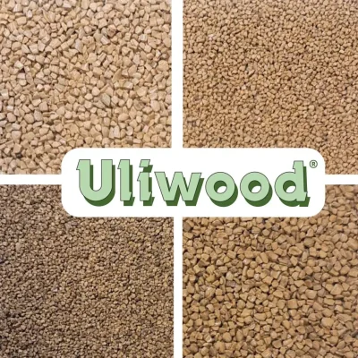 Recovery and valorization of food waste for new bio-based products with high added value